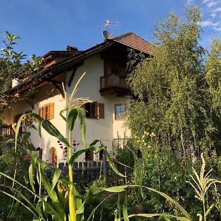 Birbamergut Longostagno Екстериор снимка